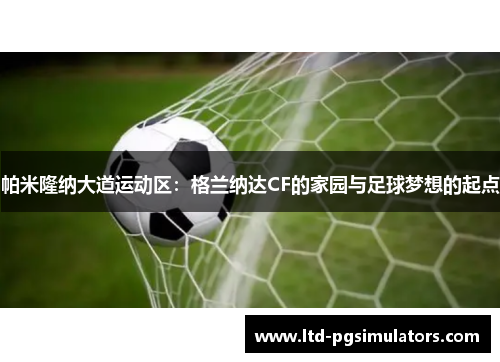 帕米隆纳大道运动区：格兰纳达CF的家园与足球梦想的起点