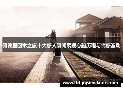 佩德里回家之旅十大感人瞬间展现心路历程与情感波动