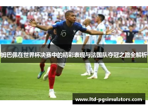 姆巴佩在世界杯决赛中的精彩表现与法国队夺冠之路全解析