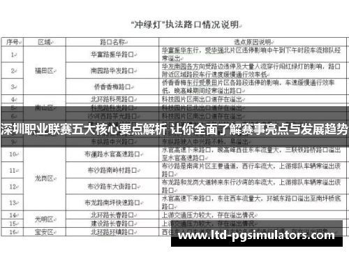 深圳职业联赛五大核心要点解析 让你全面了解赛事亮点与发展趋势