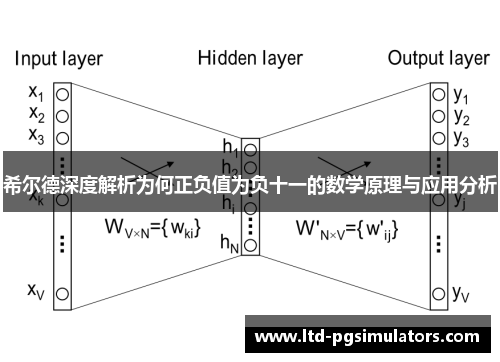 希尔德深度解析为何正负值为负十一的数学原理与应用分析
