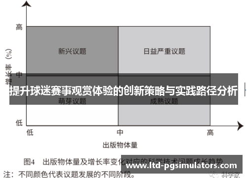 提升球迷赛事观赏体验的创新策略与实践路径分析