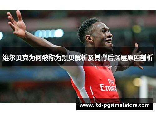 维尔贝克为何被称为黑贝解析及其背后深层原因剖析