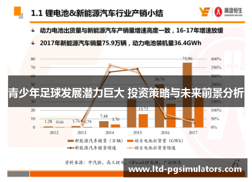 青少年足球发展潜力巨大 投资策略与未来前景分析