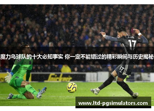 魔力鸟球队的十大必知事实 你一定不能错过的精彩瞬间与历史揭秘