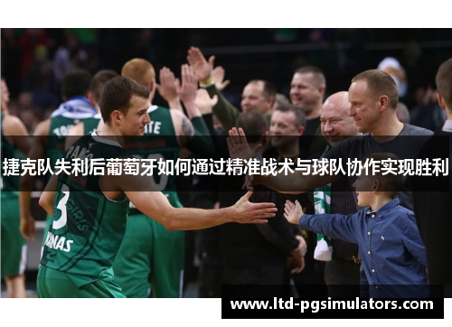 捷克队失利后葡萄牙如何通过精准战术与球队协作实现胜利