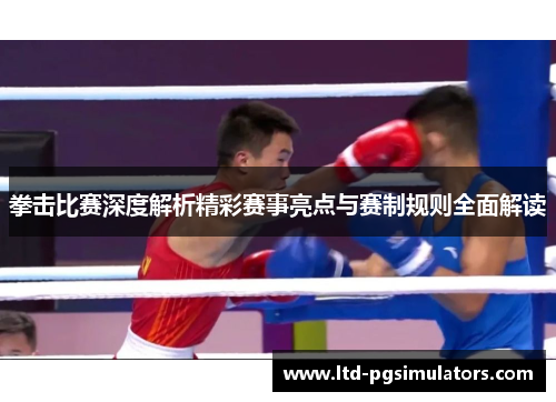 拳击比赛深度解析精彩赛事亮点与赛制规则全面解读