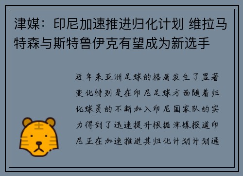 津媒:印尼加速推进归化计划 维拉马特森与斯特鲁伊克有望成为新选手 津媒:印尼加速推进归化计划 维拉马特森与斯特鲁伊克有望成为新选手
